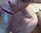 shaved64