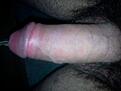 Photo0029