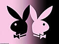 PlayBoy bunny playboy 5935209 800 600