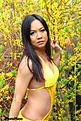 IMG 7887(533x800)